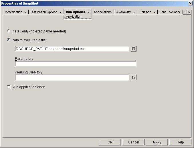 Application object > Run Options tab > Application page