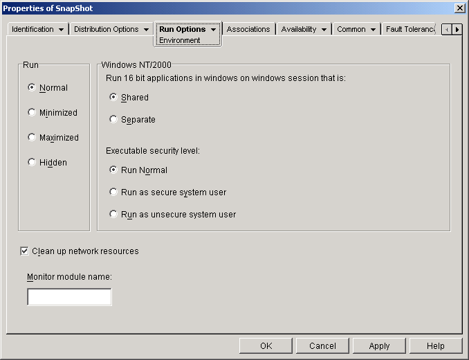 Application object > Run Options tab > Environment page