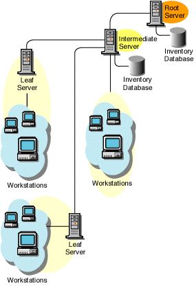 The Root Server at the topmost level, an Intermediate Server with Database at the lower level attached to the Root Server, and Leaf Servers attached to the Intermediate Server with Database