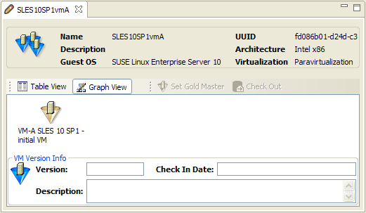 VM Information Section of the ZENworks VM Management Console