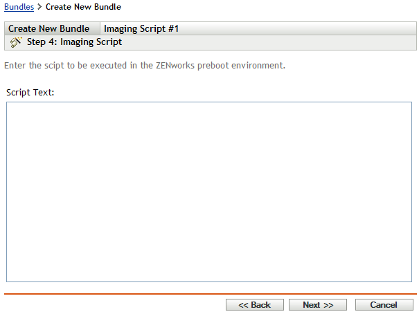 Create New Bundle Wizard - Imaging Script page