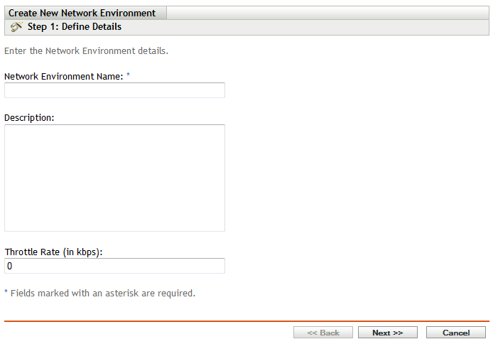 Define Details page of the Create New Network Environment wizard