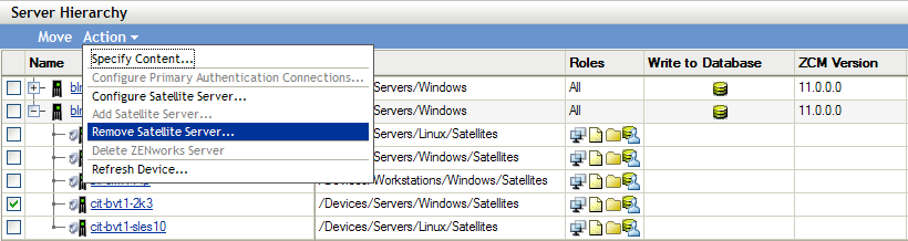 Server Hierarchy panel