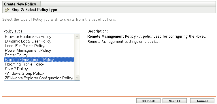 Select Policy Type page of the Create New Policy wizard