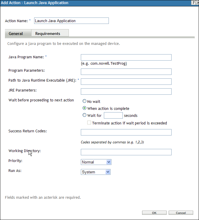 Action - Launch Java Application Dialog Box