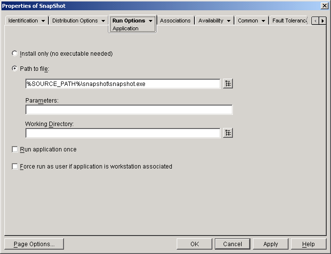 Application object > Run Options tab > Application page