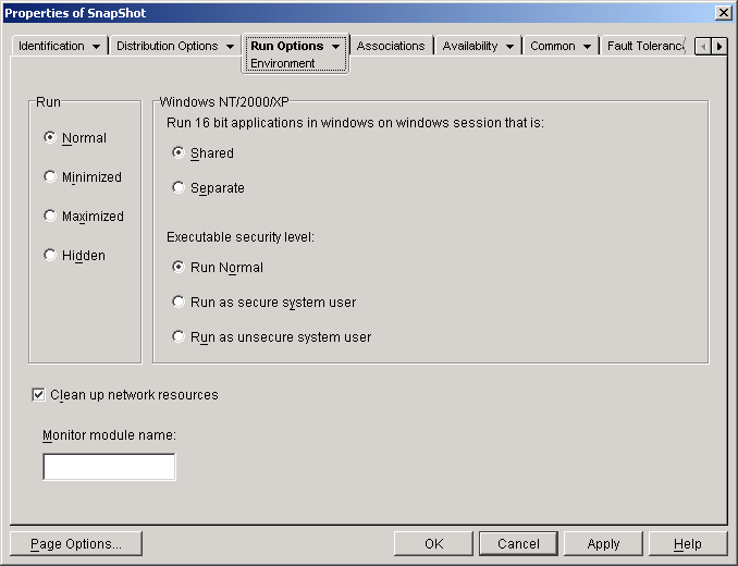 Application object > Run Options tab > Environment page