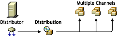Distributor with a Distribution listed in multiple Channels