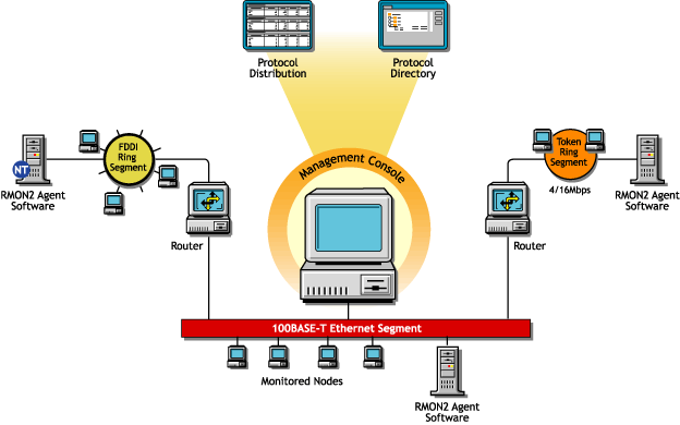 Novell ZENworks Server Management views available through an RMON2 agent