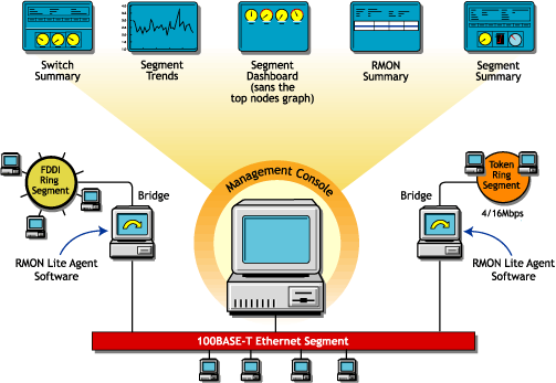 Novell ZENworks Server Management views available through an RMON Lite agent