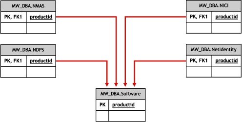 Schema for Software Sub-classes