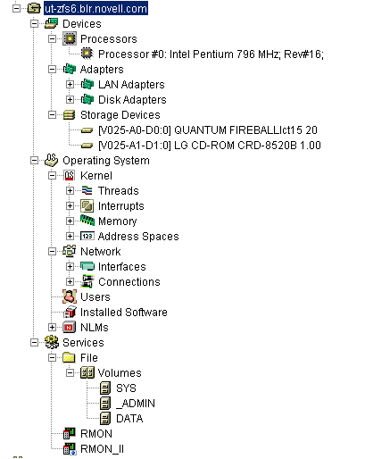 A server configuration containing the Devices object (including Processors, Adapters, and Storage Devices), Operating System object (including Kernels, Network, Users, Installed Software, and NLMs), and the Services object (including File and RMON)