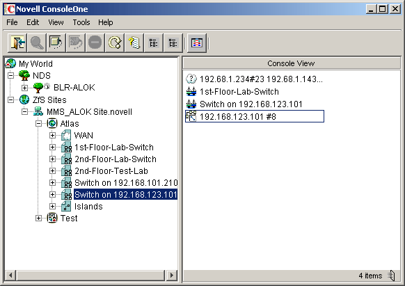 The Novell ZENworks Server Management console snap-in to Novell ConsoleOne