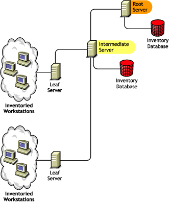 A Root Server along with an Intermediate Server which has an Inventory database, to which the lower-level Leaf Servers roll up the inventory information.