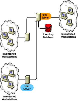 The Root Server at the highest level, with inventoried workstations attached to it. Also, more than one Leaf Server is attached to this Root Server with Inventoried Workstations.