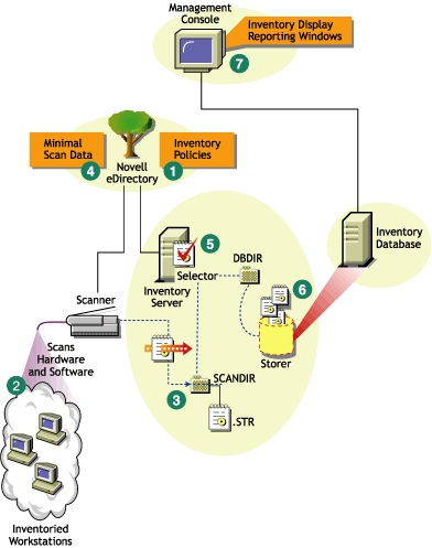 Inventory scanning cycle in the Standalone Server consisting of workstations with the Novell Client installed.