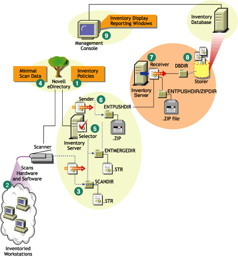 Inventory scanning cycle in the Roll-Up scenario consisting of workstations with the Novell Client installed.