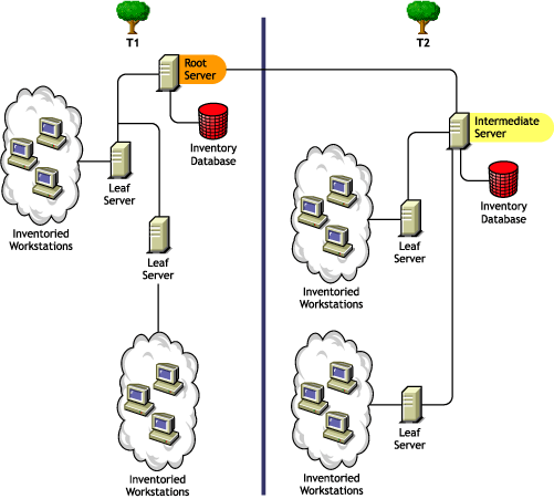 Roll-up of inventory information across eDirectory trees.