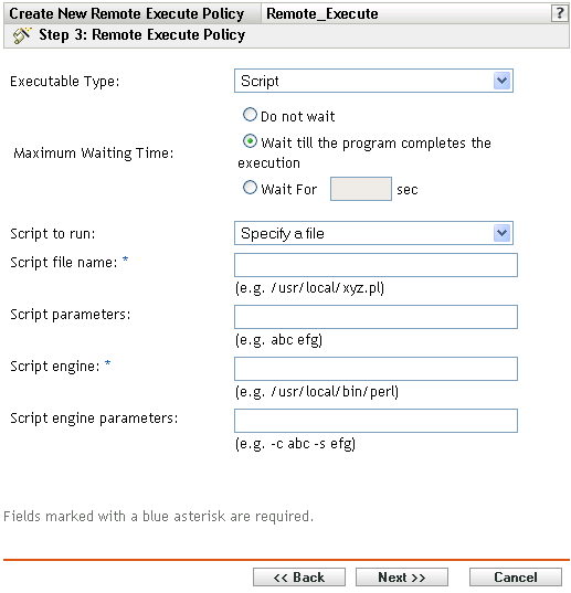 Remote Execute Policy page