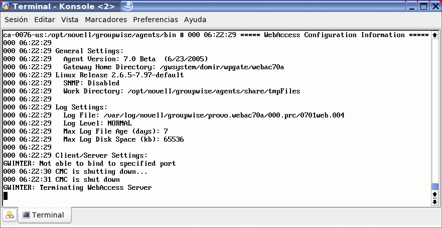 Ventana de terminal de WebAccess