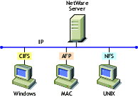 Protocolos de acceso a archivos nativos de Novell