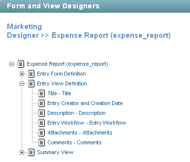 Entry View Definition Elements Entry View Definition Elements