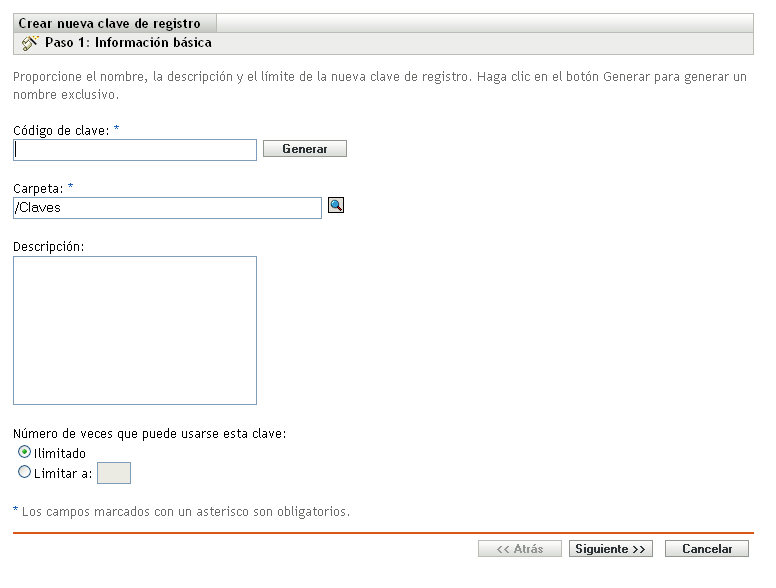 Asistente Crear nueva clave de registro: página Información básica