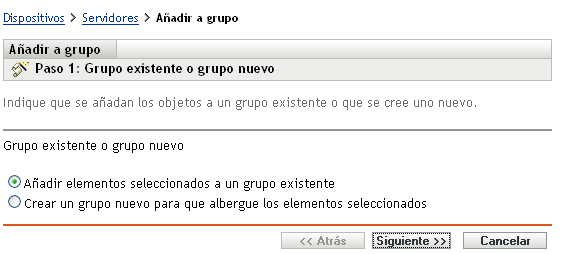 Asistente Añadir a grupo: página Grupo existente o grupo nuevo