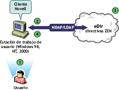 Ilustracin de los pasos del proceso de autenticacin en eDirectory de Novell desde el Cliente Novell.