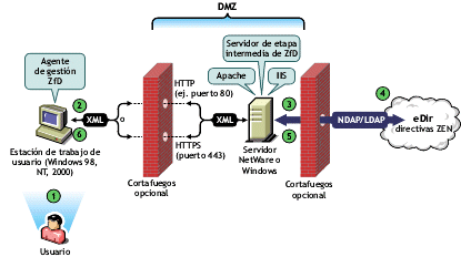 Ilustracin de los pasos del proceso de autenticacin desde el Agente de gestin de ZfD en eDirectory de Novell.