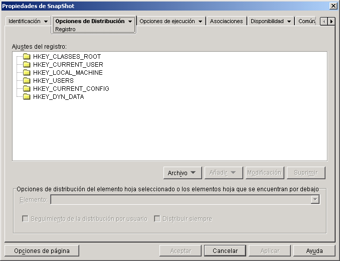 Pgina Registro del objeto Aplicacin