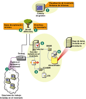 Ciclo de exploracin del inventario en una situacin independiente en la que hay estaciones de trabajo que tienen instalado el Cliente Novell.