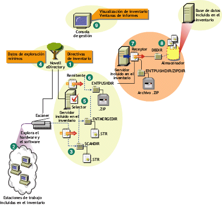 Ciclo de exploracin del inventario en una situacin de informes en la que hay estaciones de trabajo que tienen instalado el Cliente Novell.