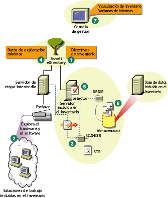 Ciclo de exploracin del inventario en una situacin independiente en la que hay estaciones de trabajo que no tienen instalado el Cliente Novell.