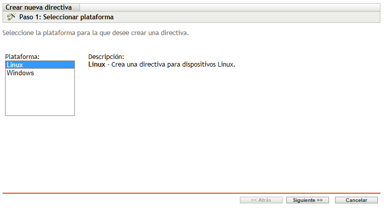 Página para seleccionar la categoría de plataforma del asistente Crear nueva directiva