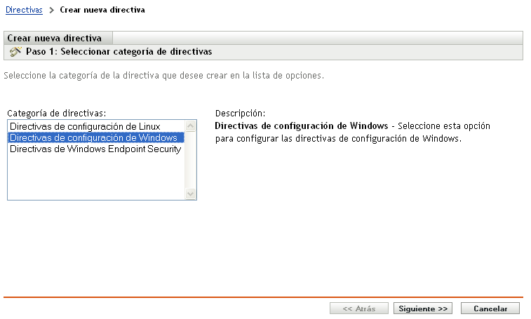 Página Seleccionar categoría de directivas del asistente Crear nueva directiva