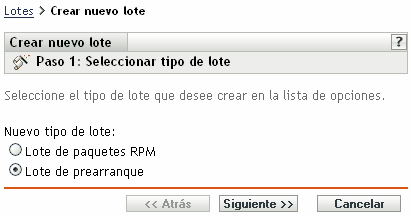 Página del paso 1 para crear un lote nuevo: Seleccionar tipo de lote