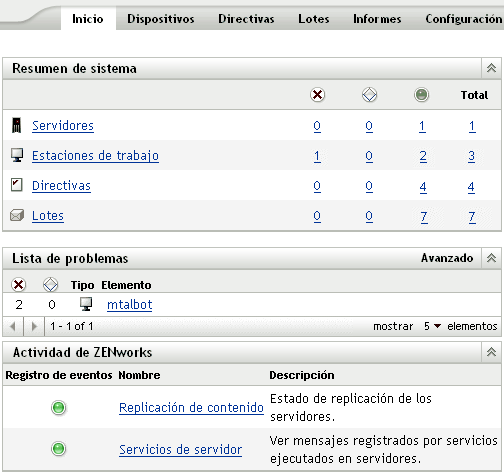 Página de resumen y lista de problemas