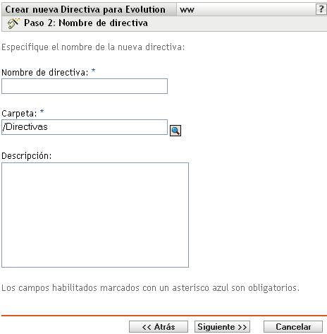 Página Nombre de directiva