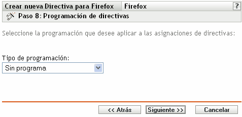 Página Programación de directivas