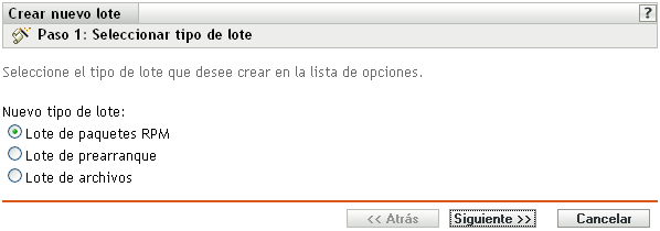 Página Paso 1: Seleccionar tipo de lote