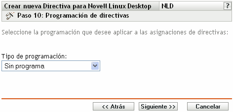 Página Programación de directivas