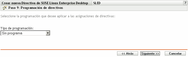 Página Programación de directivas