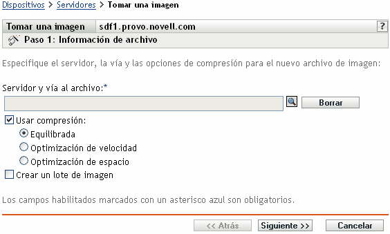 Página del paso 1 para crear un lote nuevo: Información de archivo (campos Servidor y vía al archivo, Usar compresión, Crear un lote de imagen)