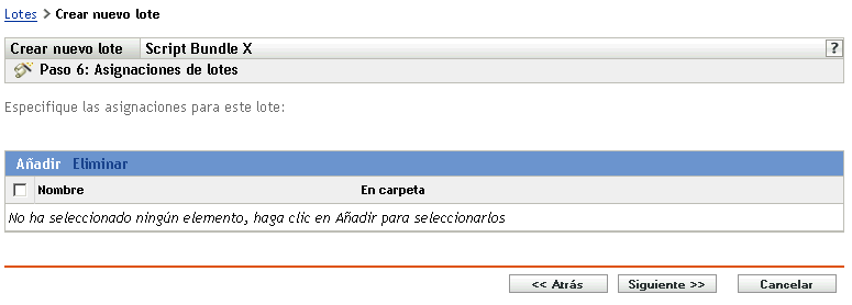 Paso 6 para crear un lote nuevo: Asignaciones de lotes