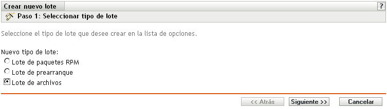 Página de selección de lote de archivos