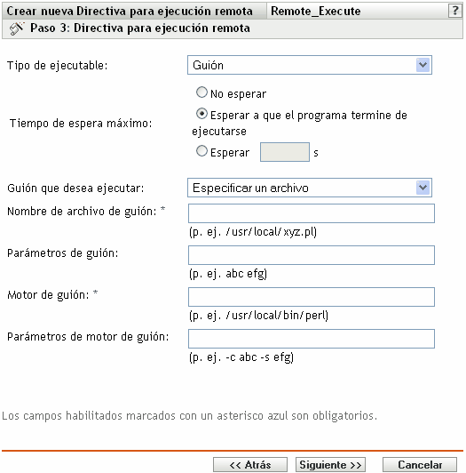 Página Directiva para ejecución remota