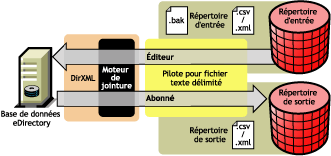 Flux de donnes du pilote pour fichier texte dlimit