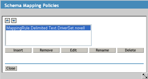 Description: Schema Mapping Policy