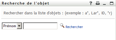La page de recherche d'objet permet de spécifier des critères de recherche.